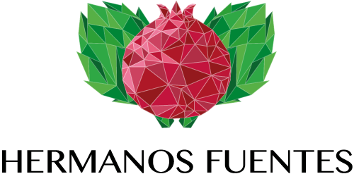 LOGO-WEB