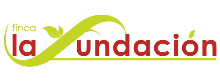 logo_lafundacion_slide_